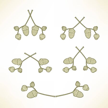 set of illustration of the branches with acornsのイラスト素材