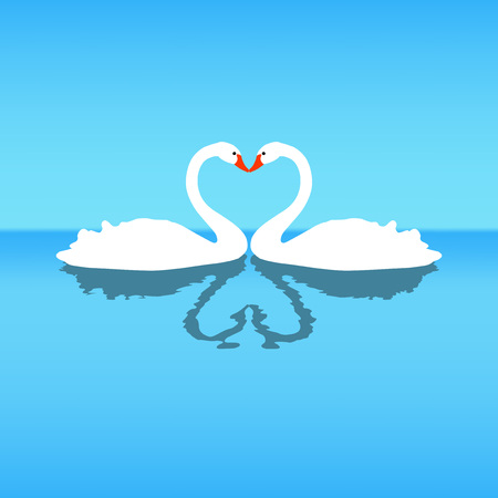 illustration of two lovers swans. のイラスト素材