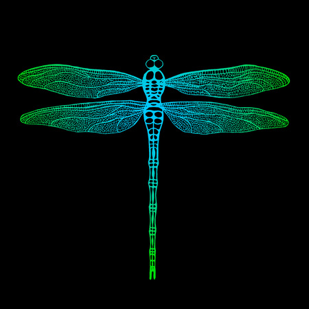 Dragonfly. Vector dragonfly. Hand drawn vector damselfly.のイラスト素材