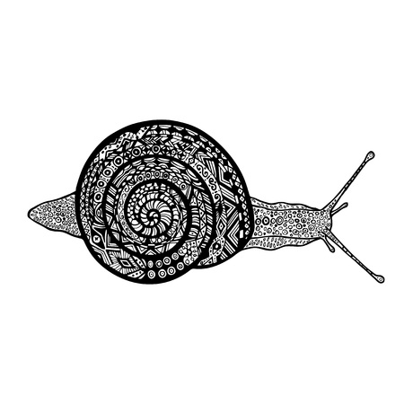 Hand drawn snail on white background.のイラスト素材