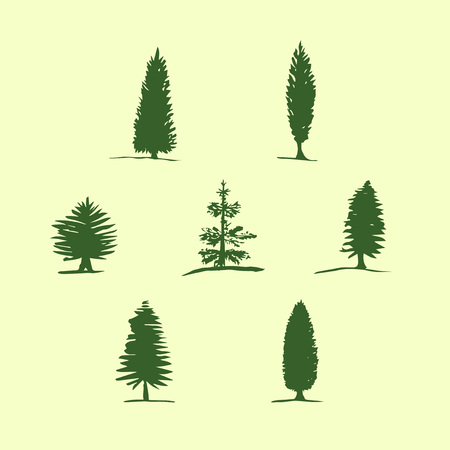 Set of hand drawn sketch trees - pine, fir tree, cypress.のイラスト素材