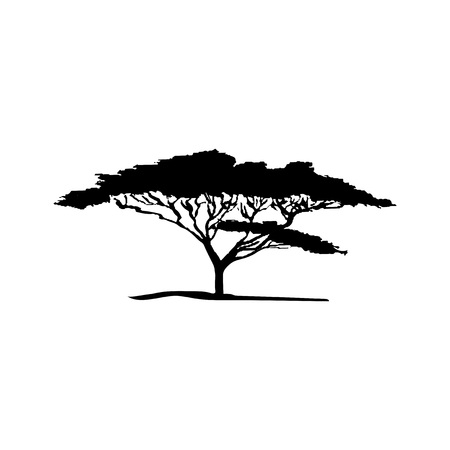 silhouette of acacia tree. African floraのイラスト素材