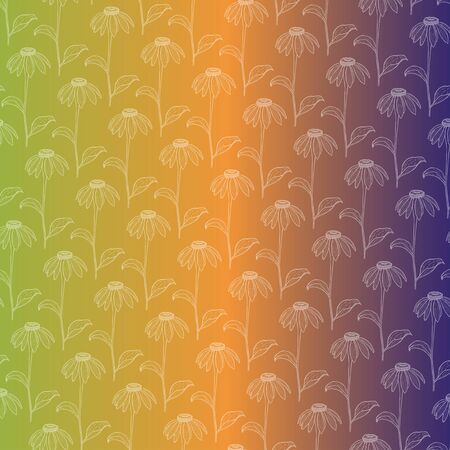 Vector illustration from sketch hand drawing echinacea flowers on gradient backgroundのイラスト素材