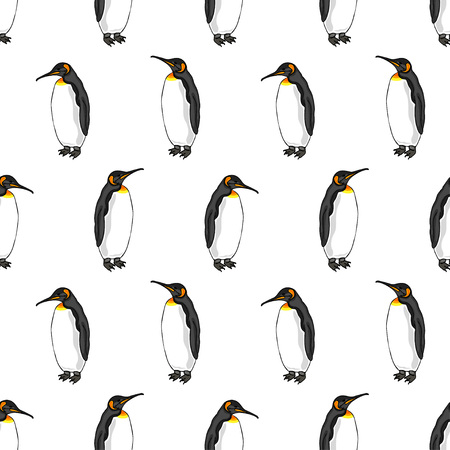 vector seamless pattern of penguin on white background. Illustration of bird Emperor penguinsのイラスト素材