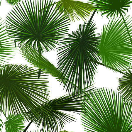 Vector seamless pattern of colorful palm leaf on white background. Tropical palm leaves backgroundのイラスト素材