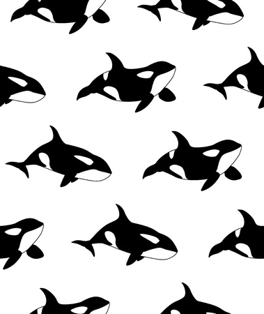 Vector seamless pattern of hand drawn killer whale swimming on white backgroundのイラスト素材