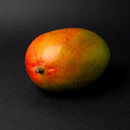 Mango fruit isolated on black background with copy space for text.の写真素材