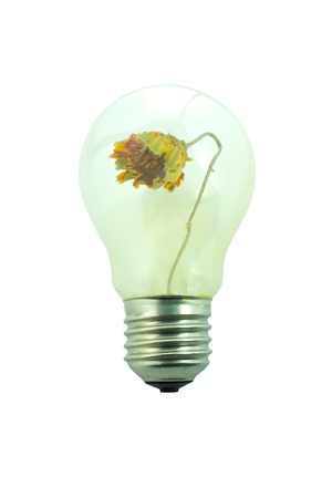 flower wilt in the light bulbの写真素材