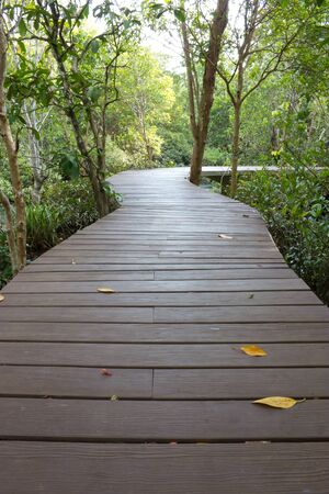 Walking through the water canals. Tha Pom in Krabi, Thailandの写真素材