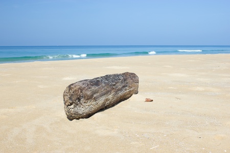 Timber on the beachの写真素材