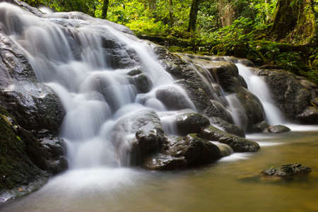 Sa Nang Manora forest park in Phangnga, Thailandの写真素材