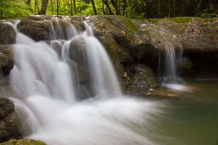 Sa Nang Manora forest park in Phangnga, Thailandの写真素材