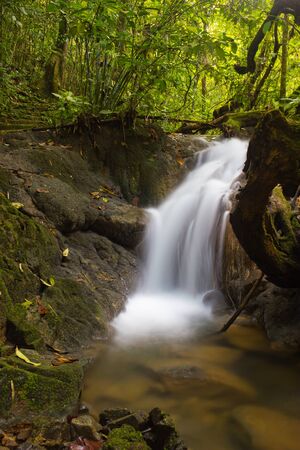 Sa Nang Manora forest park in Phangnga, Thailandの写真素材