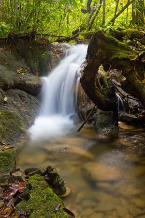 Sa Nang Manora forest park in Phangnga, Thailandの写真素材