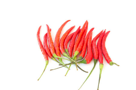 Paprika isolated on white background