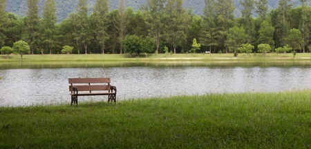 Bench in the parkの写真素材