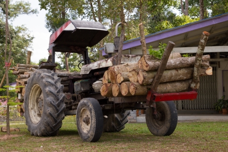 Timber trucksの写真素材