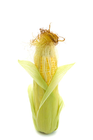 Fresh corn isolated on white backgroundの写真素材