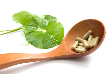 Herbal medicine from Centella asiaticaの写真素材