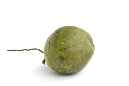Coconut isolated on white backgroundの写真素材