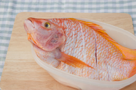 Fresh fishes on chopping blockの写真素材