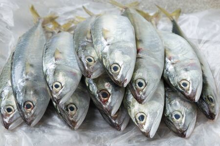 Fish in the Marketの写真素材