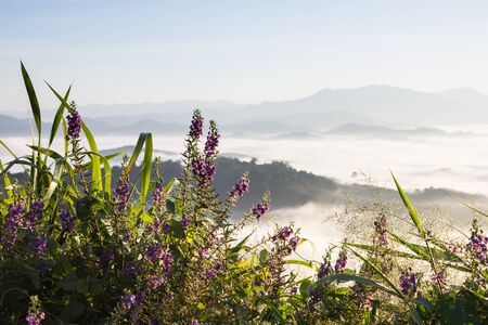 The sun rises in the mist at Khao Kai Nui, Phangnga Thailandの写真素材