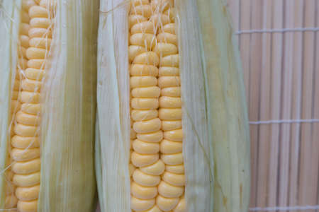 Fresh sweet cornの写真素材