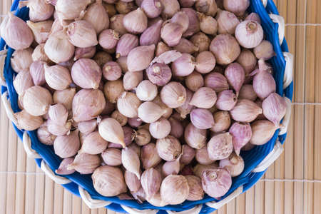 Garlic in basketの写真素材