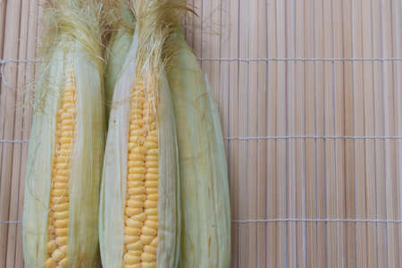 Fresh sweet cornの写真素材