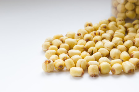 Dried crispy lotus seedの写真素材