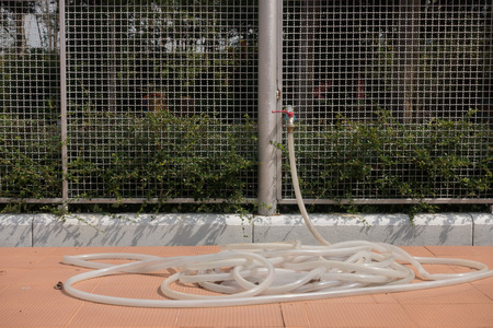 Water pipewatering a treeの写真素材