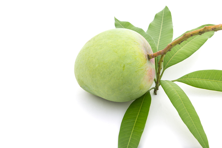 Mango isolated on white backgroundの写真素材