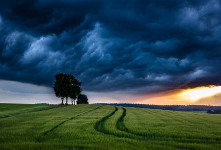 Storm clouds over the field in Saxony, Germanyの写真素材
