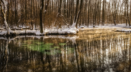 Blue Sources Nature Reserve in Tomaszow Mazowiecki city, Polandの写真素材