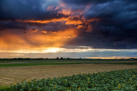 Beatiful sunset over the field, Polandの写真素材