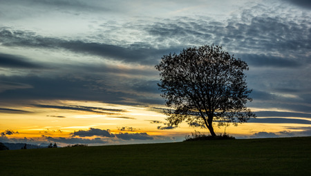 Sunset over lonely tree somewhere in Tatra mountains, Polandの写真素材