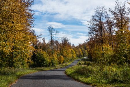 Road near lake Solinskie in autumn in Solina, Bieszczady, Polandの写真素材