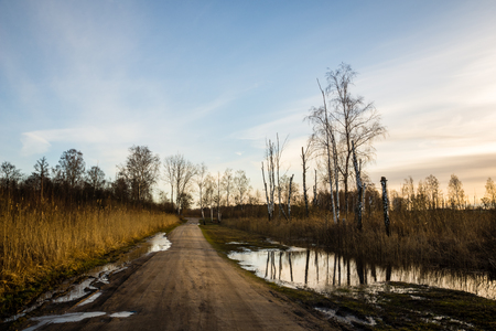 Road on the pier in Wegorzewo, Masuria, Polandの写真素材