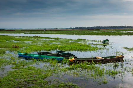 Old boats on the Narew river in Narew National Park near Waniewo village, Podlasie, Polandの写真素材