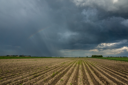 Rain clouds over the field, Polandの写真素材