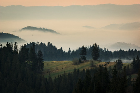 Foggy morning in Tatra mountains, Zakopane, Polandの写真素材