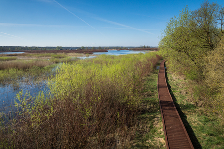 Footbridge on the river Biebrza in Osowiec, Podlasie, Polandの写真素材