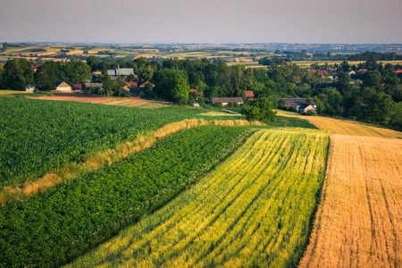 Colorful fields on Ponidzie, Swietokrzyskie, Polandの写真素材