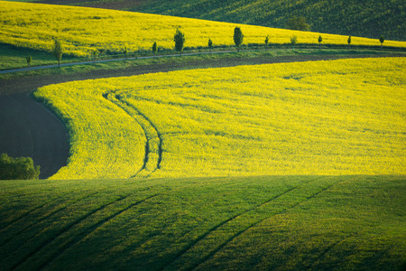 Moravian fields near Sardice, Hodonin, Czech Republic