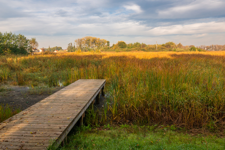 Lake Zgorzala in district Ursynow at autumn, Warsaw, Polandの写真素材