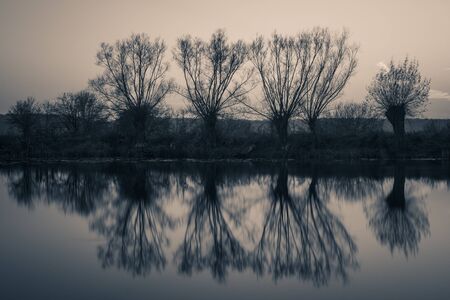 Willows and refleciotn on the Habdzin lake near Konstancin-Jeziorna, Masovia, Polandの写真素材