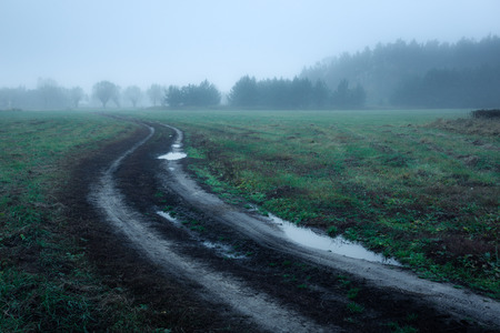 Road in foggry morning somewhere in Masovia, Polandの写真素材