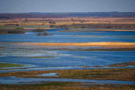 Landscape with Biebrza river near Goniadz, Podlaskie, Polandの写真素材