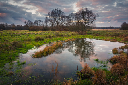 Landscape with Jeziorka river at cloudy day near Piaseczno, Masovia, Poland